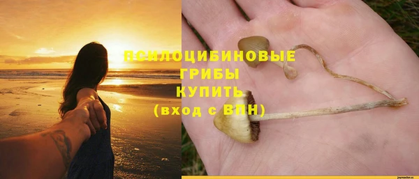 а пвп мука Абдулино