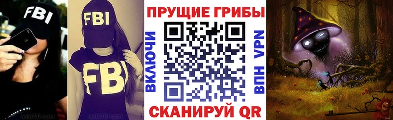 блэк спрут зеркало Майский Псилоцибиновые грибы Psilocybine cubensis купить
