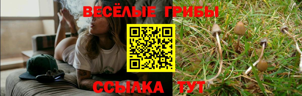 Майский  Псилоцибиновые грибы Cubensis  Вход с VPN  Галлюциногенные грибы ЛСД 