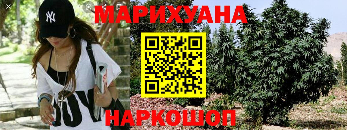 Бошки Шишки сатива Майский